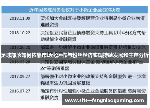 足球部落如何依靠市场化运作与粉丝经济实现持续发展和生存分析