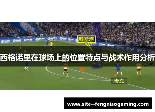 西格诺里在球场上的位置特点与战术作用分析 西格诺里在球场上的位置特点与战术作用分析