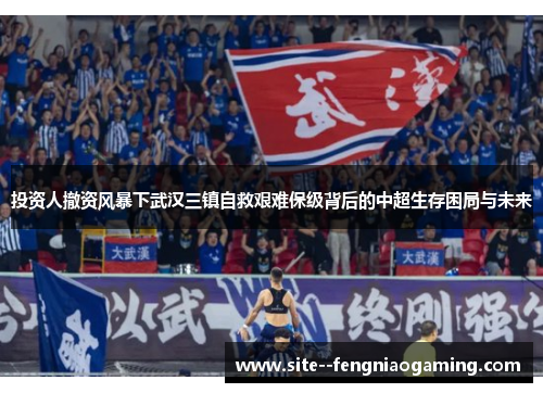 投资人撤资风暴下武汉三镇自救艰难保级背后的中超生存困局与未来