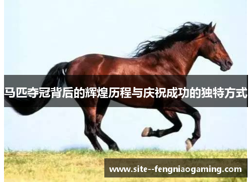 马匹夺冠背后的辉煌历程与庆祝成功的独特方式