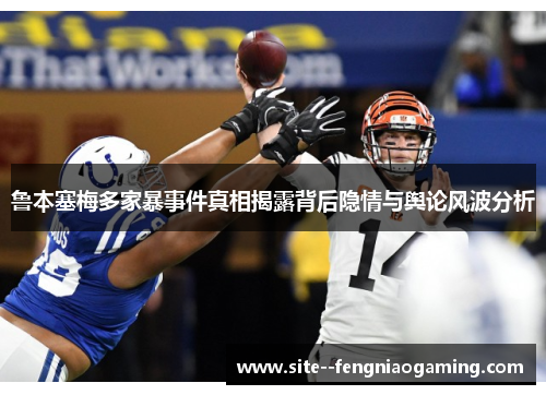 鲁本塞梅多家暴事件真相揭露背后隐情与舆论风波分析
