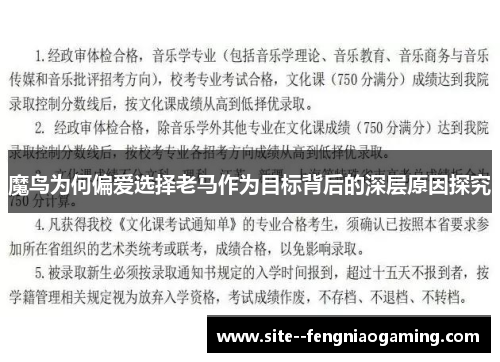 魔鸟为何偏爱选择老马作为目标背后的深层原因探究