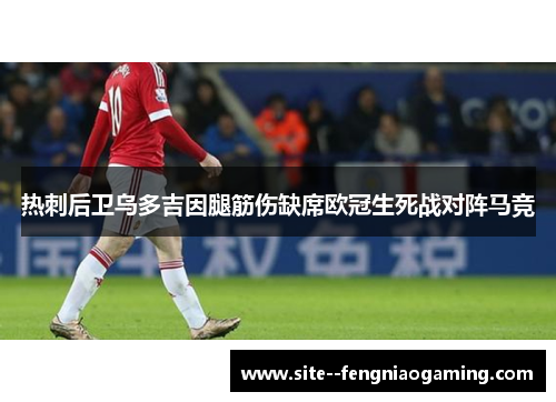 热刺后卫乌多吉因腿筋伤缺席欧冠生死战对阵马竞 热刺后卫乌多吉因腿筋伤缺席欧冠生死战对阵马竞