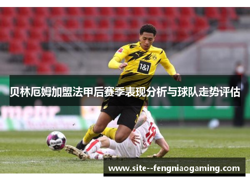 贝林厄姆加盟法甲后赛季表现分析与球队走势评估 贝林厄姆加盟法甲后赛季表现分析与球队走势评估