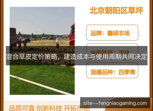 混合草皮定价策略,建造成本与使用周期共同决定 混合草皮定价策略,建造成本与使用周期共同决定