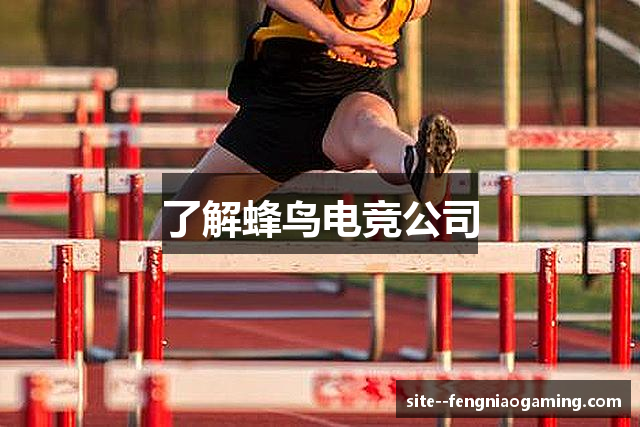 了解蜂鸟电竞公司